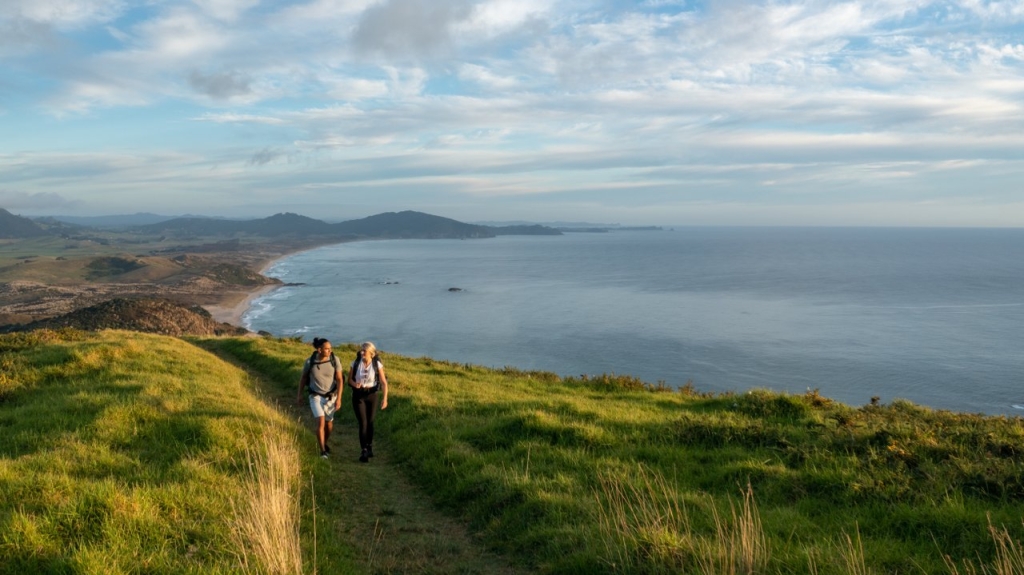 15 Best Things to Do at Whangarei Heads