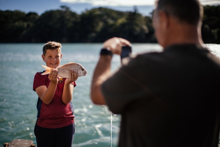 10 Things to Do in Whangarei with Kids