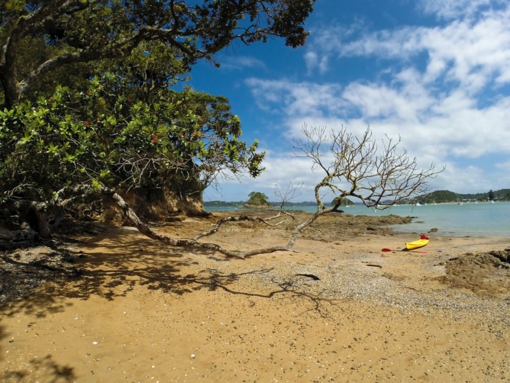 10 Free & Cheap Things to Do in Paihia