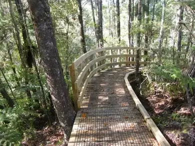 10 Free & Cheap Things to Do in Paihia