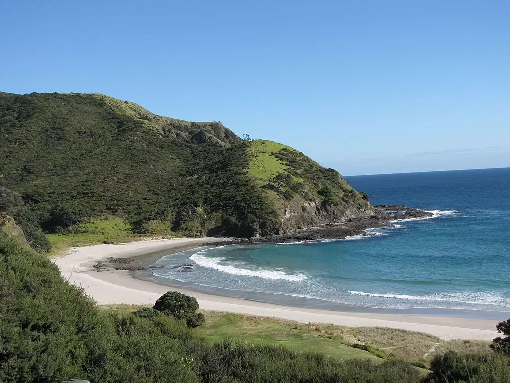 5 Best Things to Do in Kaitaia