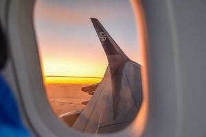 Arriving in New Zealand: Airport Customs, Biosecurity & Arrival Process [2025]