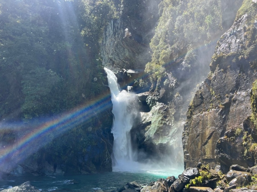 20 Best Walks & Hikes in Milford Sound ????️ [2025]