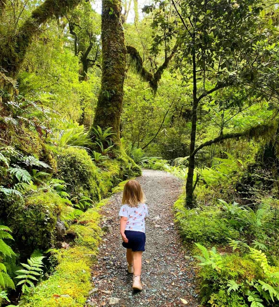 10 Things to Do in Milford Sound with Kids ????️ [2025]