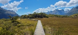 20 Best Walks & Hikes in Milford Sound ????️ [2025]