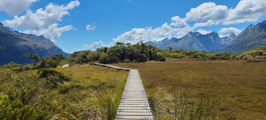 20 Best Walks & Hikes in Milford Sound ????️ [2025]