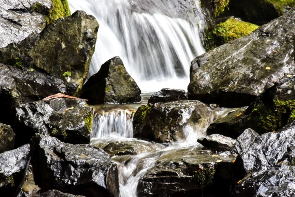 20 Best Walks & Hikes in Milford Sound ????️ [2025]