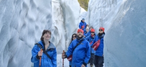 The 15 Best Bus Tours in New Zealand 🚍 [2025]