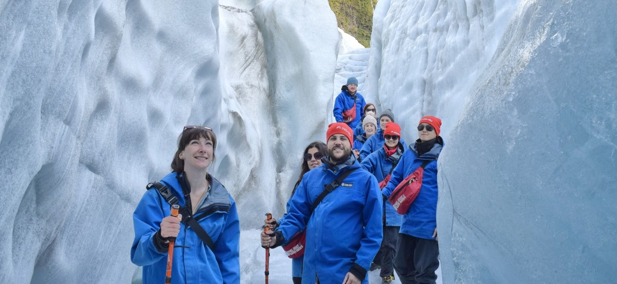 The 15 Best Bus Tours in New Zealand 🚍 [2025]
