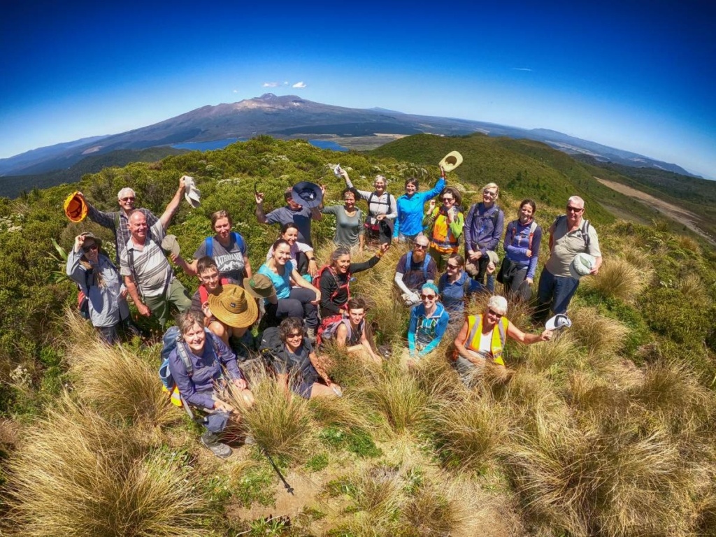 15 New Zealand Bus Tour Tips for First-Timers 🤙