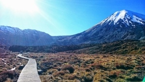 15 Best Backpacker Hostels in Tongariro National Park ???? [2025]