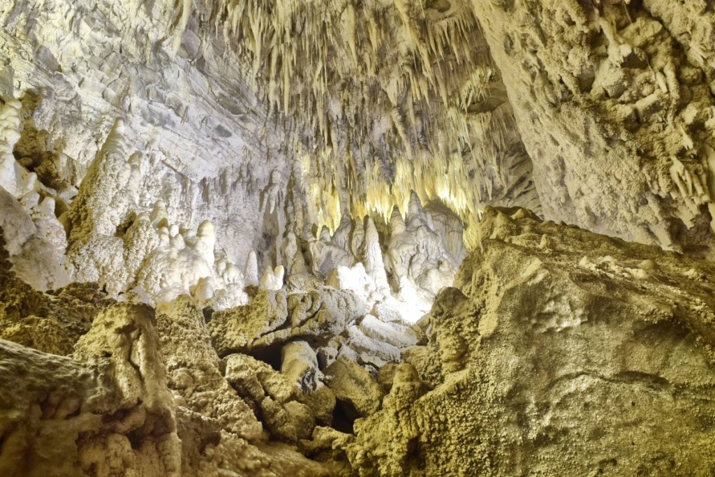 What is the Best Black Water Rafting Tour in New Zealand?