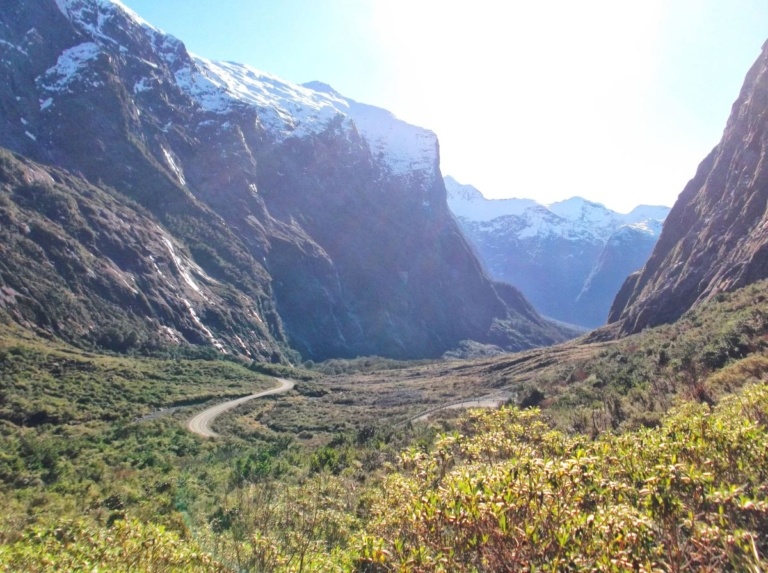 The Complete Travel Guide to Milford Sound 🏔️ [2025]