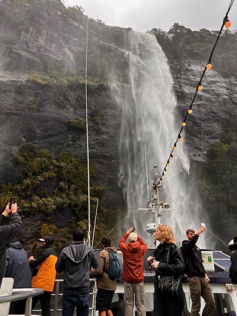 Milford Sound from Queenstown: This Van Redefines the Road Trip
