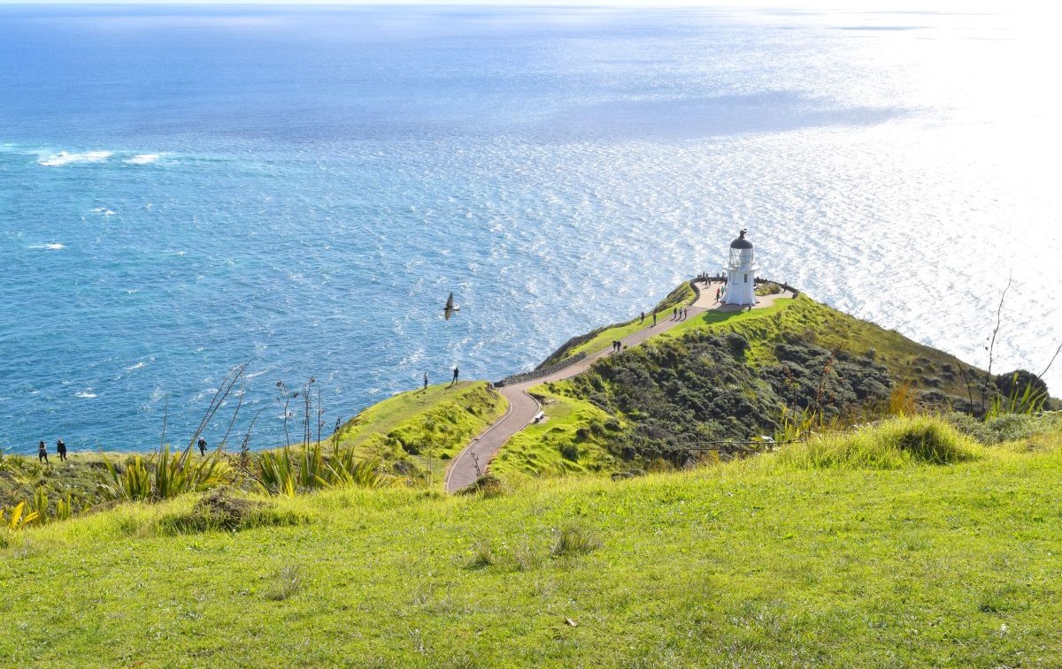 10 Things to Do in Northland in Summer